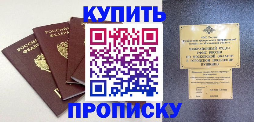 временная регистрация собственник в Гатчине